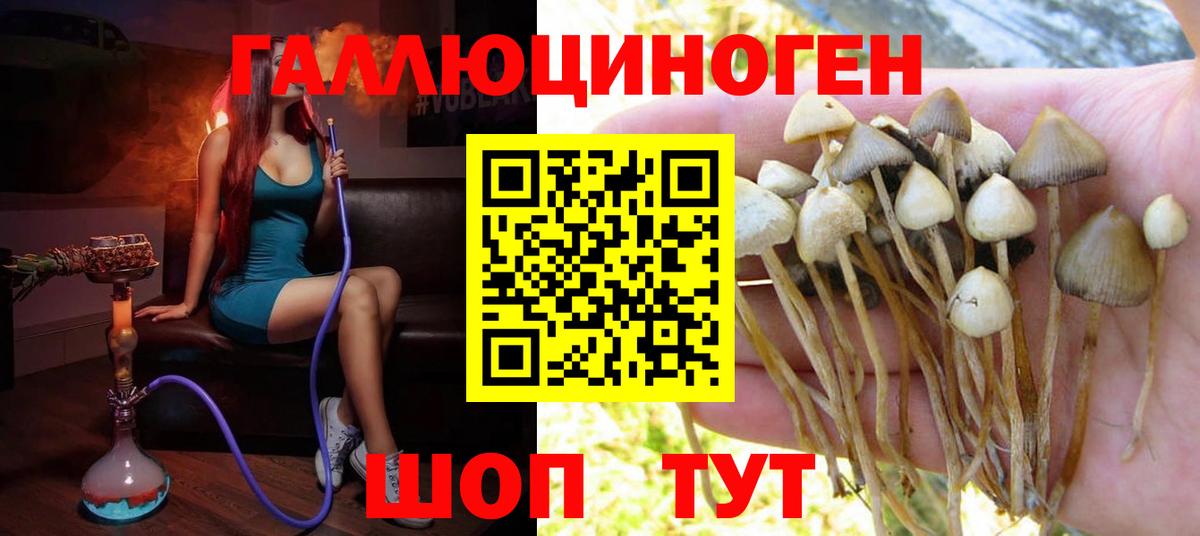 Псилоцибиновые грибы GOLDEN TEACHER Отрадный