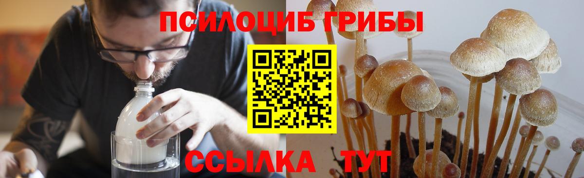 Галлюциногенные грибы Cubensis  Вход с VPN  Псилоцибиновые грибы ЛСД  Отрадный 