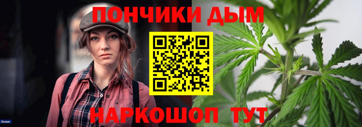 Бошки марихуана SATIVA & INDICA  Шишки марихуана марихуана  Шишки марихуана THC 21%  Отрадный  Вход с VPN 